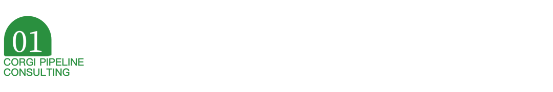 IPD的分析工具与模型（七）业务设计六要素形成可落地策略，指导产品规划与战略关键任务(图1)